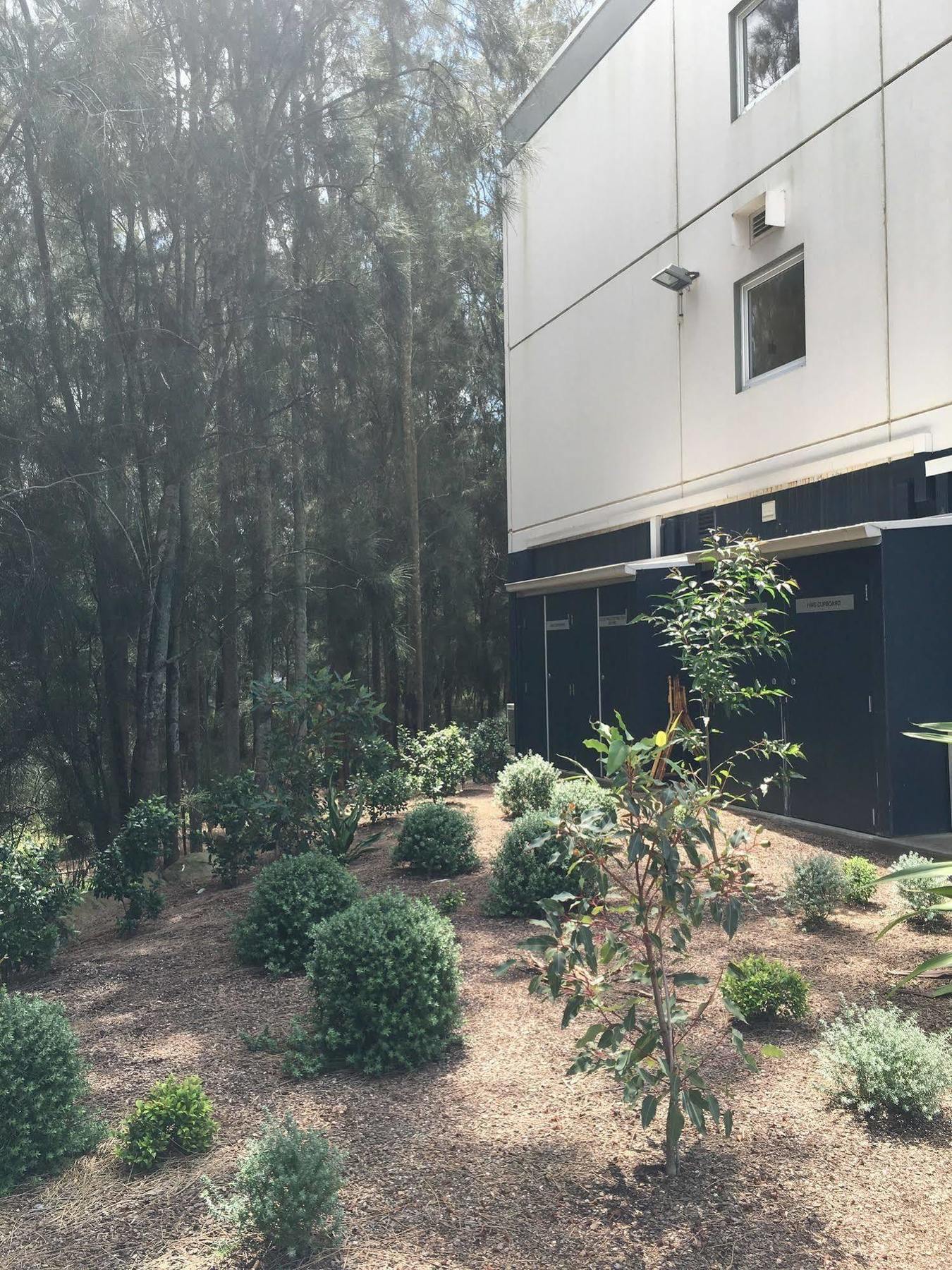 Ibis Budget - Gosford Exterior foto